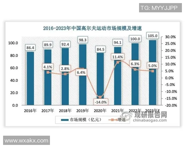 广州篮球队比赛经验深度对比分析及其对未来发展的影响