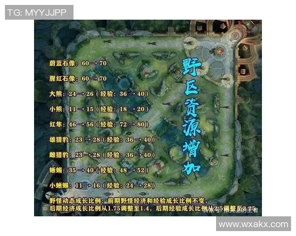 聚焦王者荣耀V5耐力话题探讨及其对游戏策略的影响分析