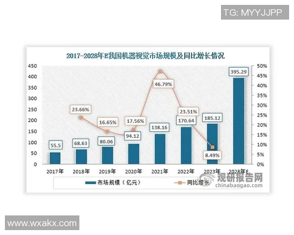 高科技棒球装备的研发与市场前景