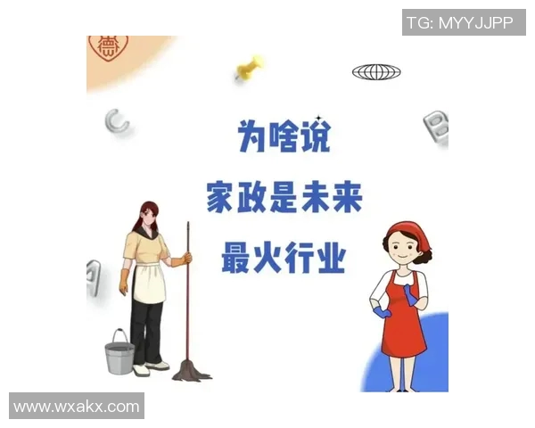 家政服务行业发展现状分析及未来趋势探讨：从家庭需求到专业化服务的转型