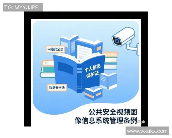 法律视角下的个人隐私保护与数据安全治理路径探析